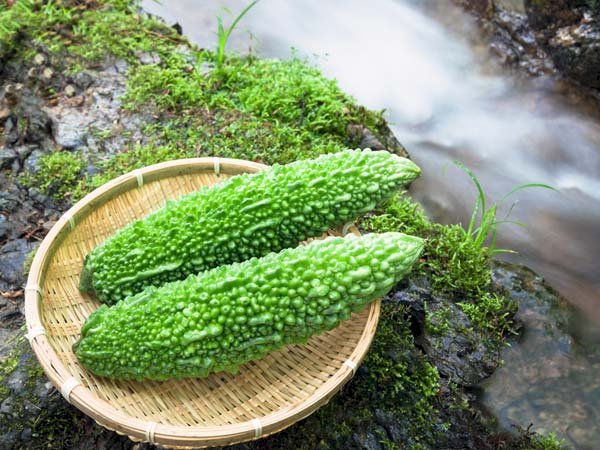 Health benefits of Bittergourd