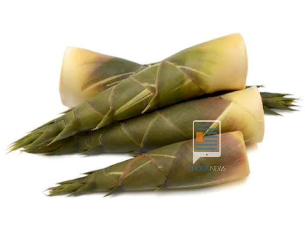 Health Benefits of bamboo  shoots (kalale )