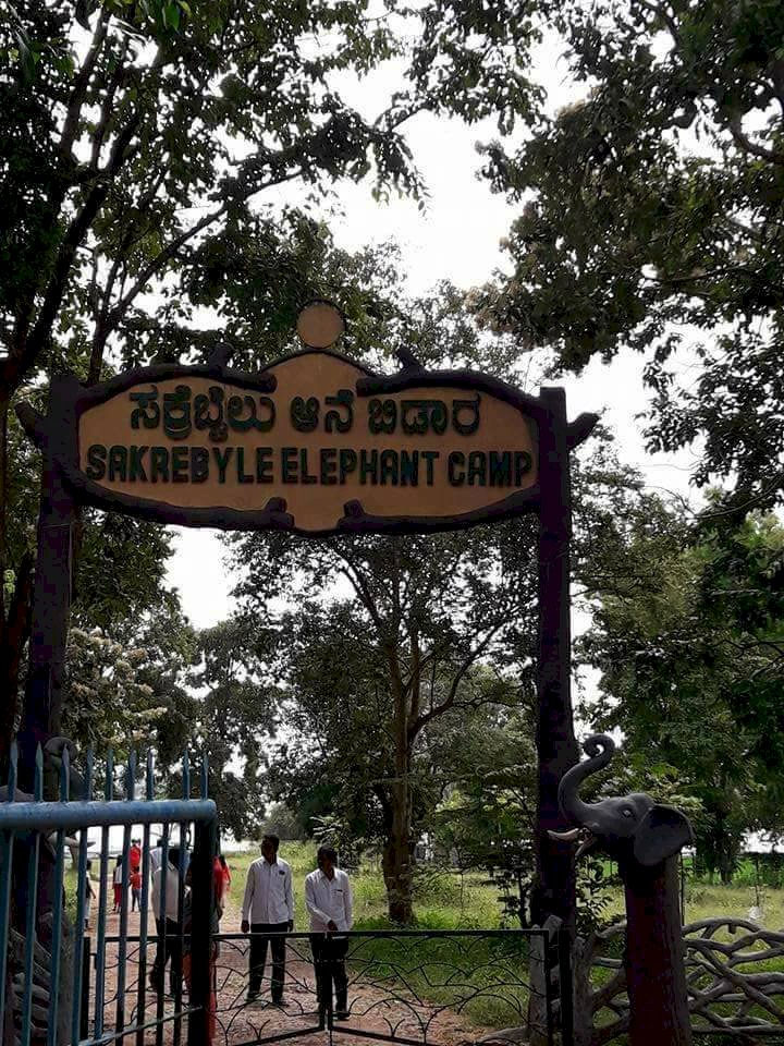 How nice to see the Sakrebyle elephant camp!