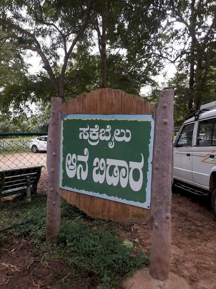 How nice to see the Sakrebyle elephant camp!