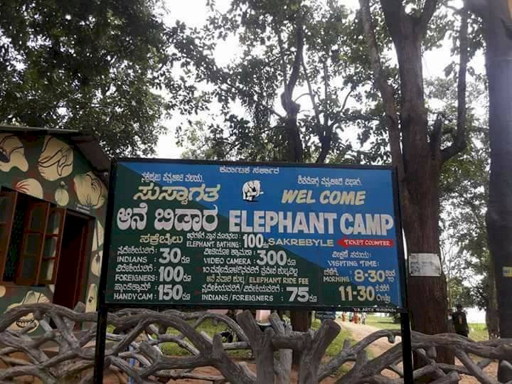 How nice to see the Sakrebyle elephant camp!