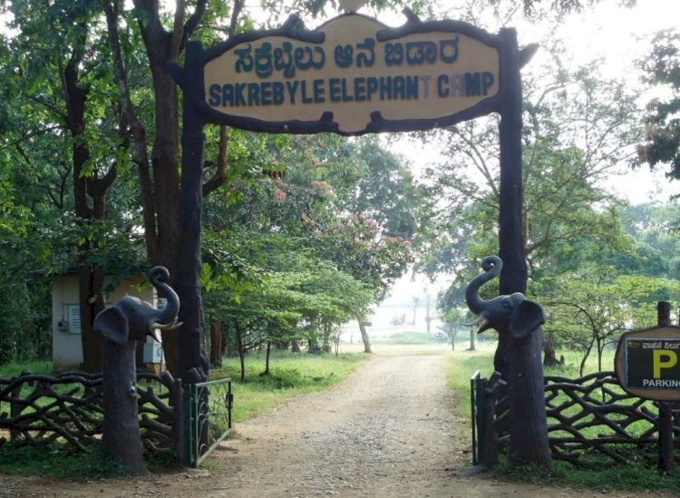 How nice to see the Sakrebyle elephant camp!