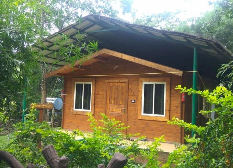 How nice to see the Sakrebyle elephant camp!